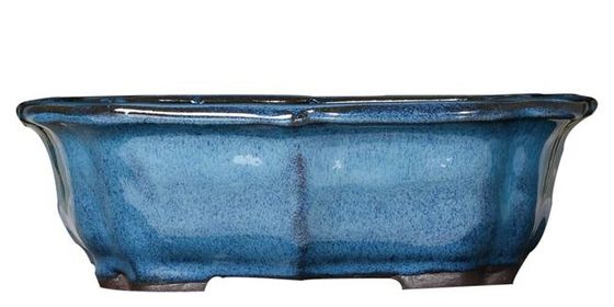 Bonsai Mengkilap 30x23x10cm Pot Tanaman Dalam Ruangan Keramik Biru